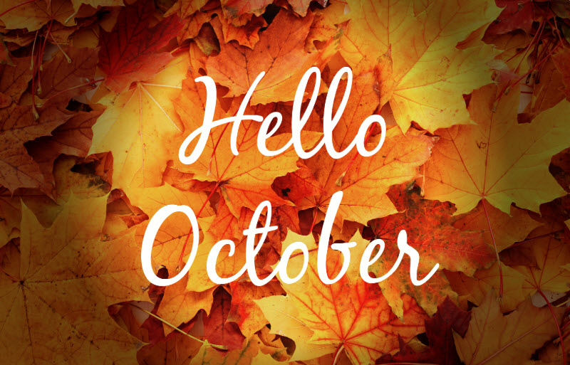 Bản tin đầu tư tài chính và thuế kỳ 30 tháng 09 năm 2023